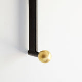Object/Interface Hook Sconce - Brass Knob