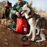 Topo Designs Carabiner Dog Leash | Green