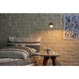 Seed Design Dora Pendant Single Light | Brass