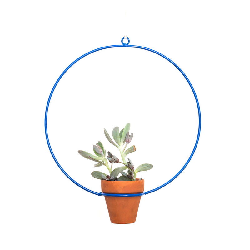 hanging circle planter NewMade LA Circle Hanging Planter Blue – Sportique