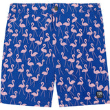 Tom & Teddy Men's Flamingo Contemporary Swim Trunk | Rose/Blue