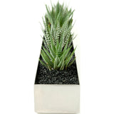 Gus* Modern Fruit Trough Planter | Stainless SteelGus* Modern Fruit Trough Planter | Stainless Steel