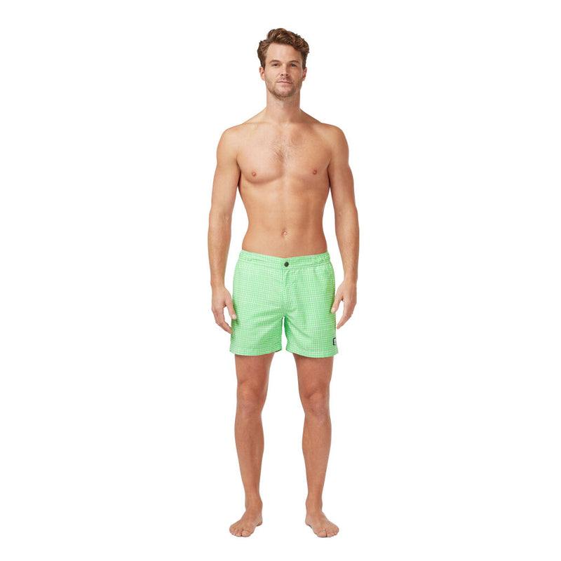 Tom & Teddy Men's Gingham Contemporary Swim Trunk | Green