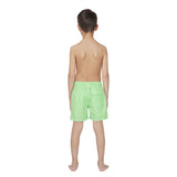 Tom & Teddy Boy's Gingham Swim Trunk | Green