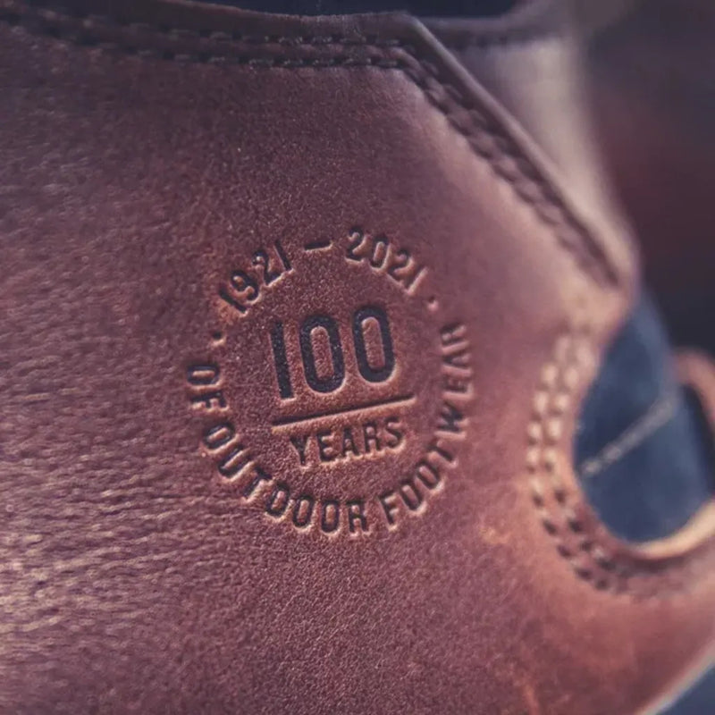 Hanwag Alaska 100 GTX Men's Shoe | Century/Black