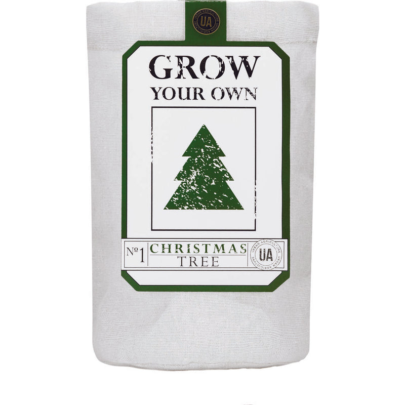 Urban Agriculture Grow Your Own Kit | Christmas Tree XMAS1000