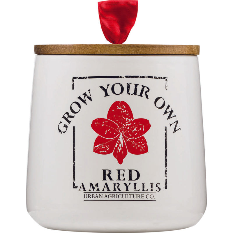 Urban Agriculture Ceramic Grow Your Own Kit | Red Amaryllis XMAS1010