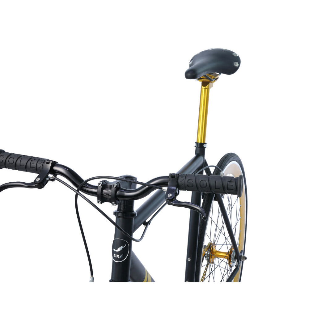 Sole Bicycles Micklish II Fixed Single Speed Bike – Sportique