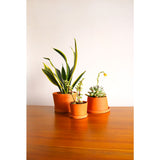 Michiko Shimada Terracotta Mini Planters Set of 3 | Set B