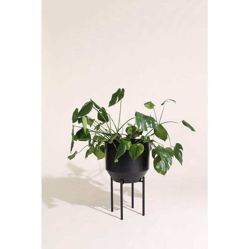 Yield Design Black Spun Planter