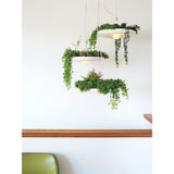 Object/Interface Cluster Canopy Planter Light Connector | White CC3-W