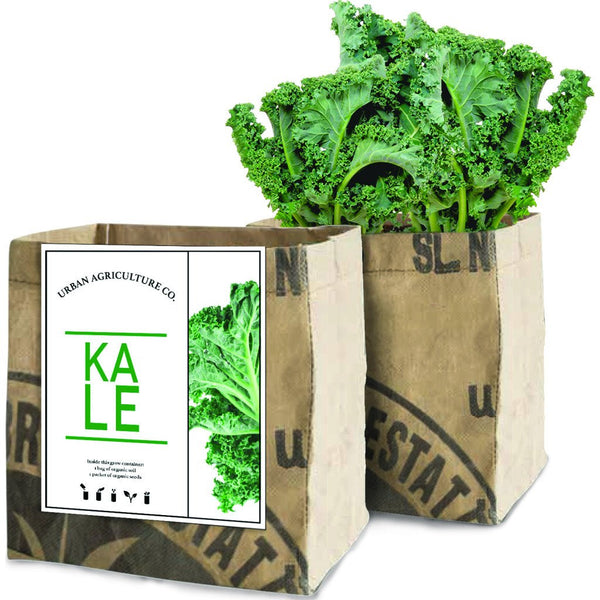 Urban Agriculture Organic Vegetable Grow Kit | Kale 30307