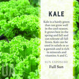 Urban Agriculture Organic Vegetable Grow Kit | Kale 30307