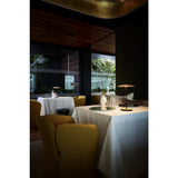 Marset Ginger Table Light | Oak