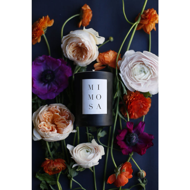 Brooklyn Candle Studio Noir Candle | Mimosa
