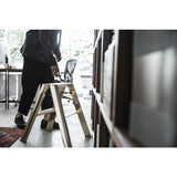 Hasegawa Lucano Step Stool Ladder | Premium