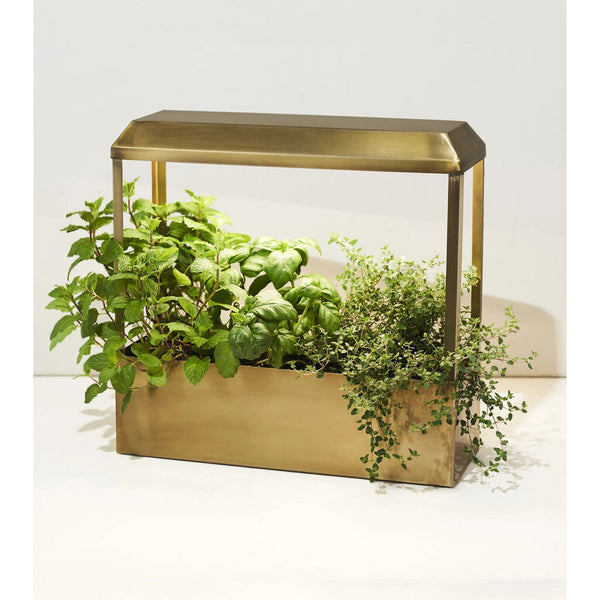 Modern Sprout Smart Growhouse