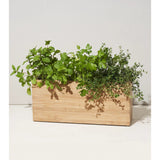 Modern Sprout Smart Hydroplanter