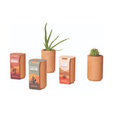 Modern Sprout Terracotta Grow Kit - Healing Aloe