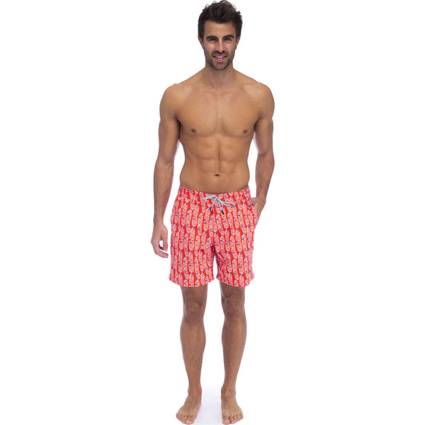 Tom & Teddy Men's Rowan Swim Trunk | Paprika & Blue / XL