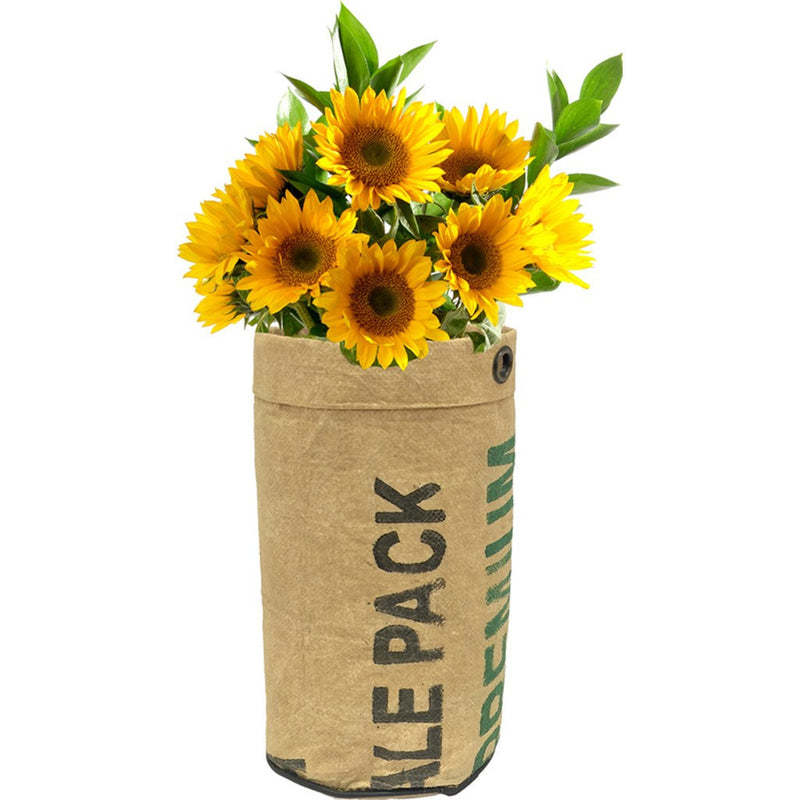Urban Agriculture Organic Flower Grow Kit | Sunflower 10100