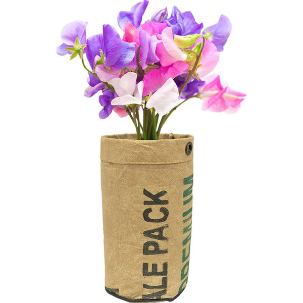 Urban Agriculture Organic Flower Grow Kit | Sweet Pea 10104