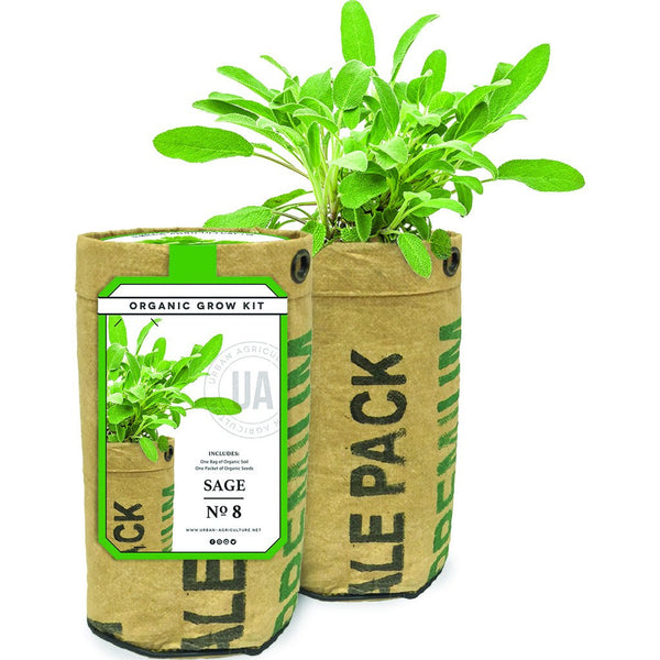 Urban Agriculture Organic Herb Grow Kit | Sage 20209