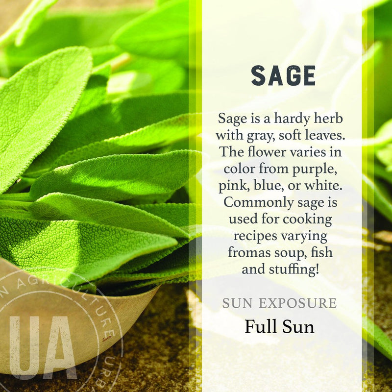 Urban Agriculture Organic Herb Grow Kit | Sage 20209