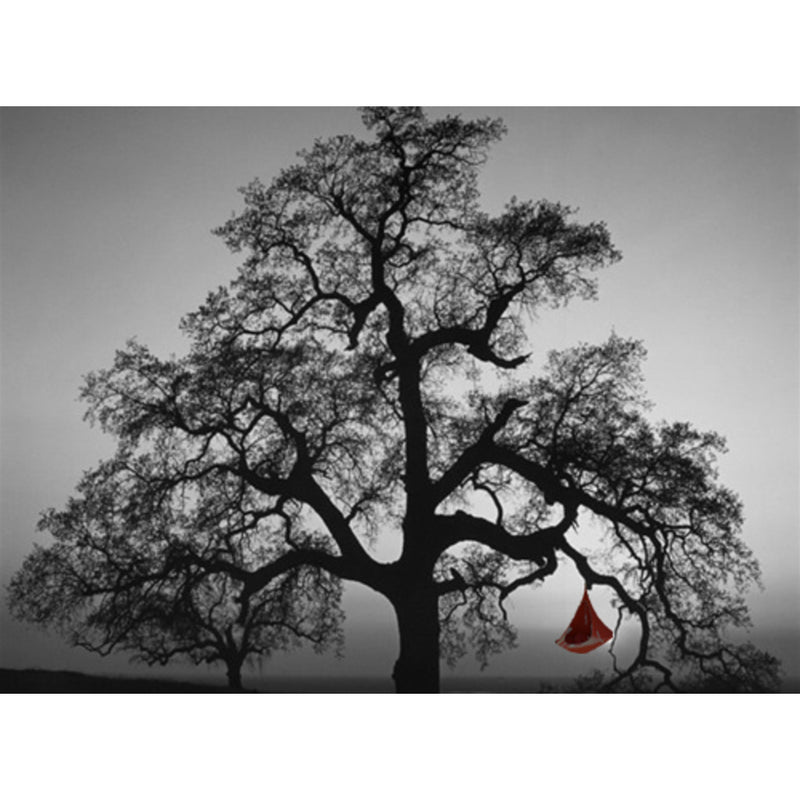Cacoon Single Hanging Hammock | Fuchsia SF011