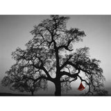 Cacoon Single Hanging Hammock | Chili Red SR005