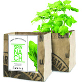 Urban Agriculture Organic Vegetable Grow Kit |Spinach 30308