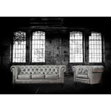 TOV Furniture Zahara Leather Sofa | Silver- TOV-S24