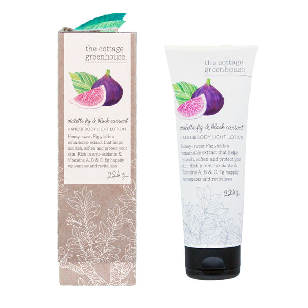 The Cottage Greenhouse Hand & Body Light Lotion | Violette Fig & Black Currant