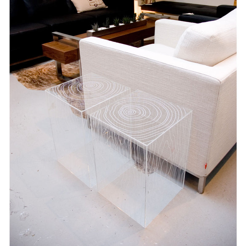 Gus* Modern Acrylic Timber Table | Transparent ECCTTIMB-ca