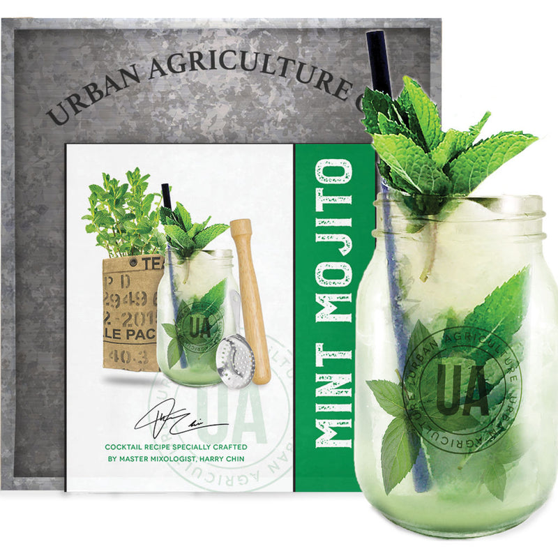 Urban Agriculture Grow Your Own Craft Cocktail Kit | Mint Mojito