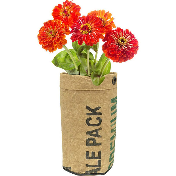 Urban Agriculture Organic Flower Grow Kit | Zinnia 10102