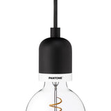 Pantone Deneb Mini Drop Cap Pendant Light | Black Beauty 4320013001