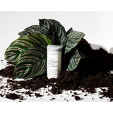 Fig+Yarrow Palmarosa Charcoal Facial Cleanser 4 fl oz FCFPC4