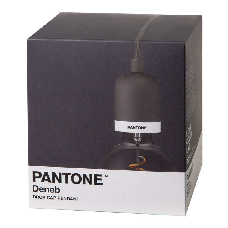 Pantone Deneb Mini Drop Cap Pendant Light | Pewter 4320013003