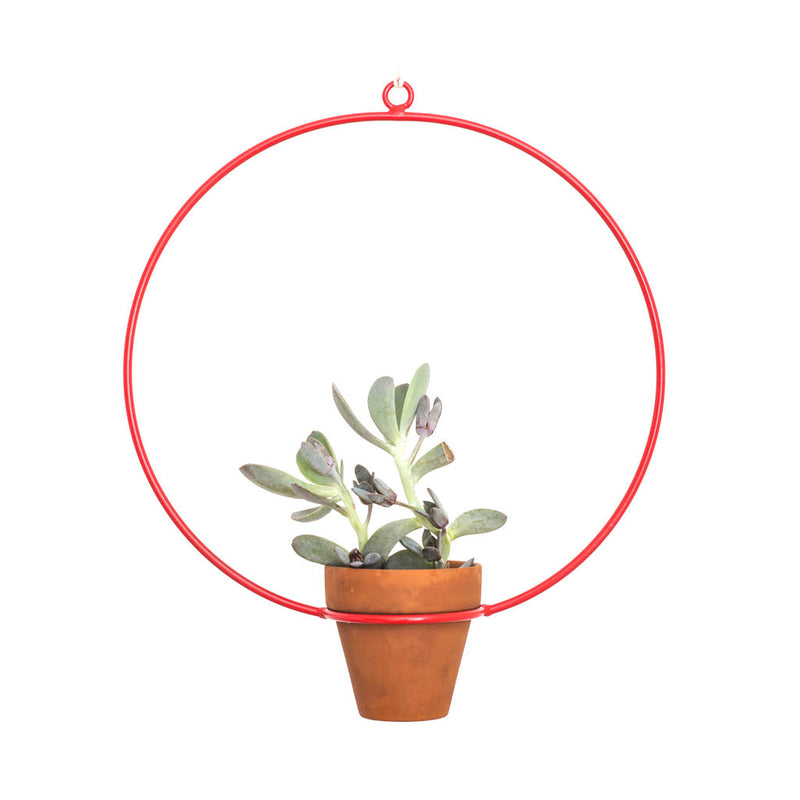 NewMade LA Circle Hanging Planter | Red- PLH01