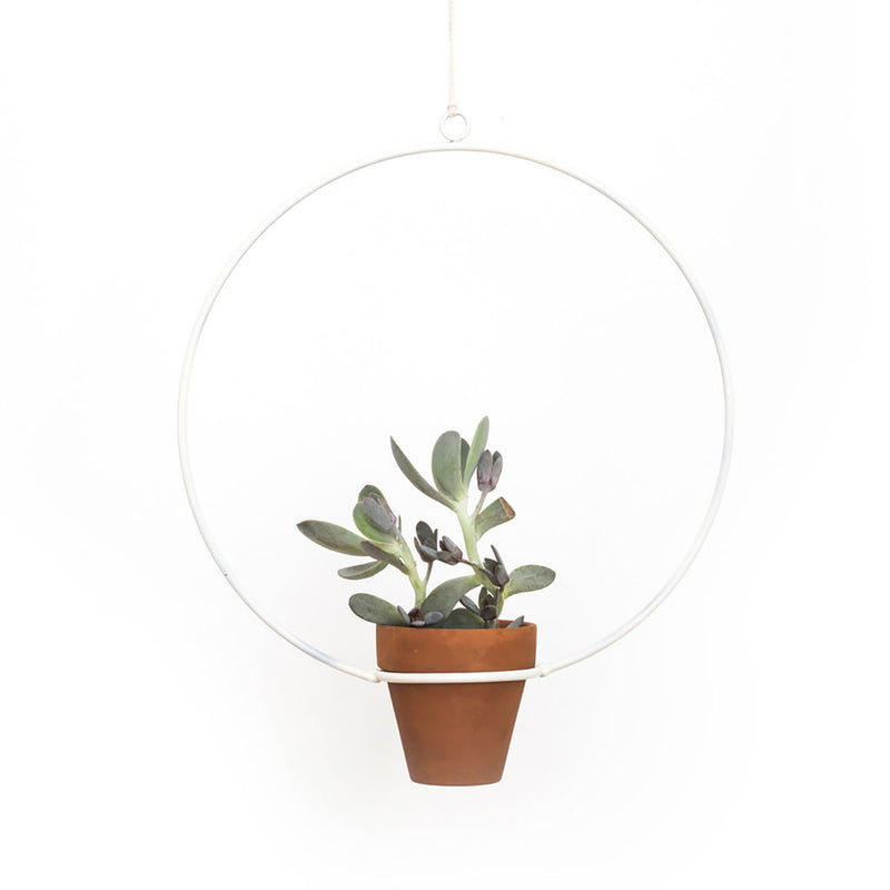 NewMade LA Circle Hanging Planter | White- PLH01