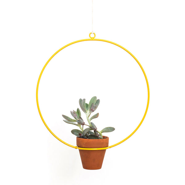 NewMade LA Circle Hanging Planter | Yellow- PLH01