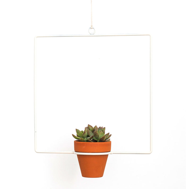 NewMade LA Square Hanging Planter | White- PLH03