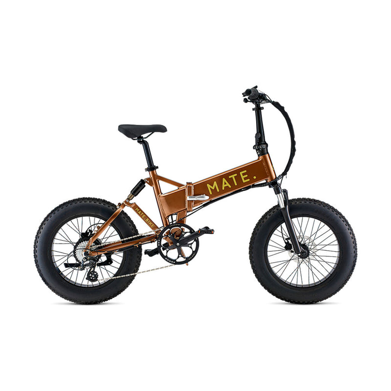 MATE X Electric 750W Bike
