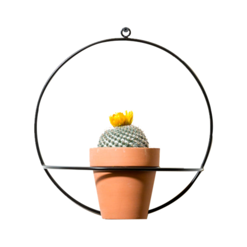 NewMade LA Circle Wall Planter