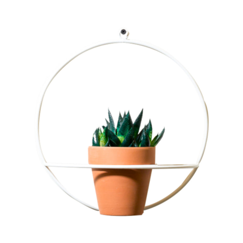 NewMade LA Circle Wall Planter