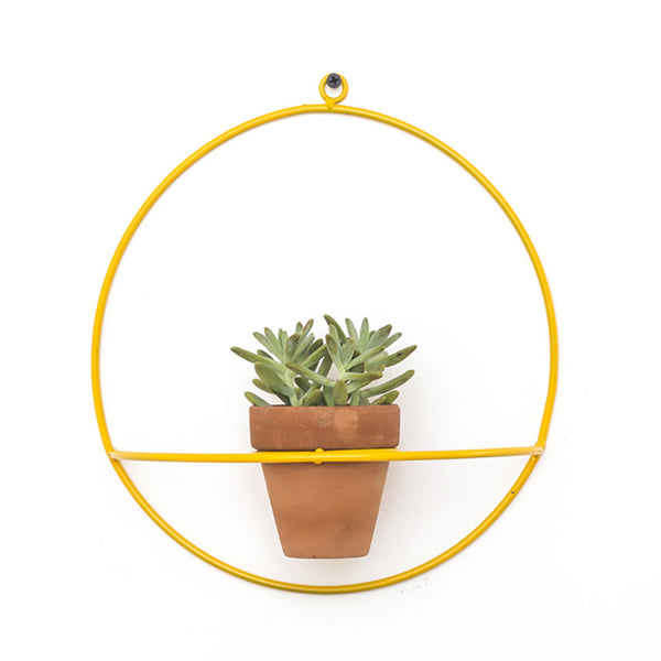NewMade LA Circle Wall Planter | Yellow- PLX01
