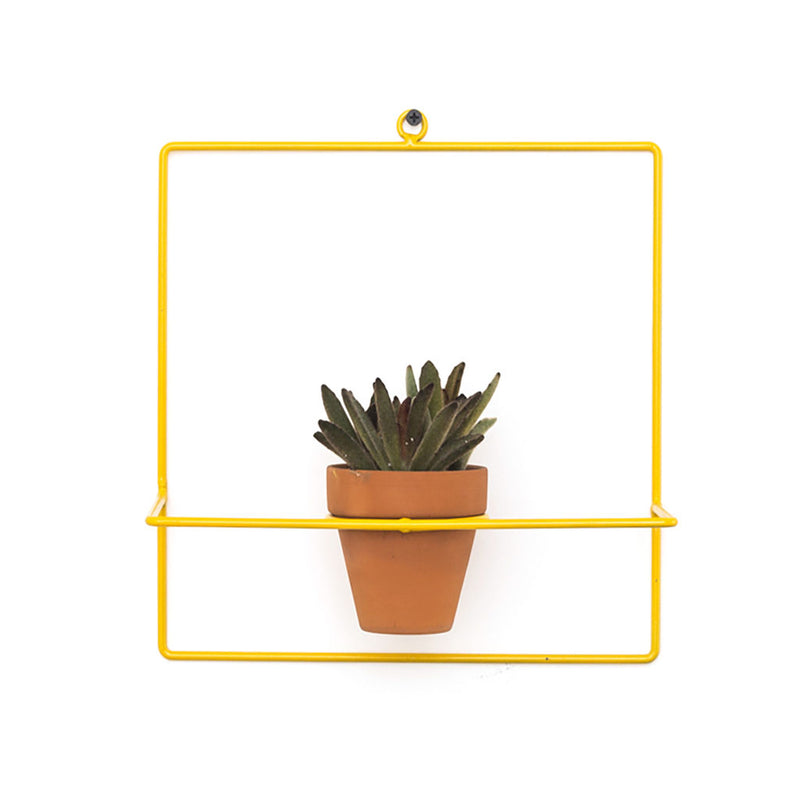 NewMade LA Square Wall Planter | Yellow- PLX03
