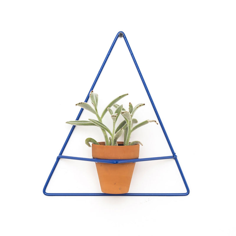 NewMade LA Triangle Wall Planter | Blue - PLX02