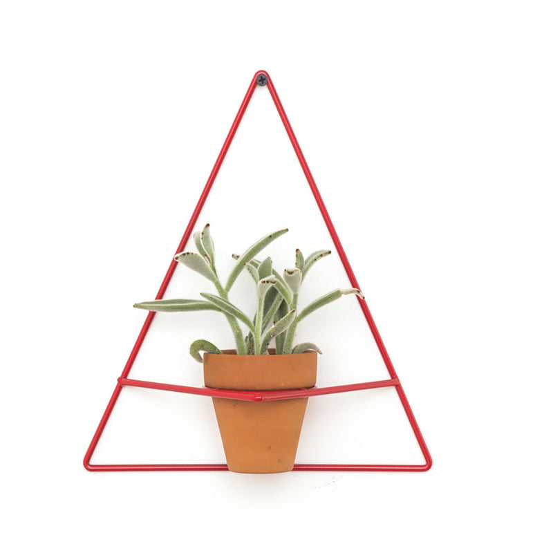 NewMade LA Triangle Wall Planter | Red- PLX02